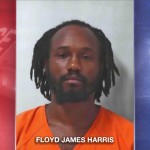 Harris Mug For Soga