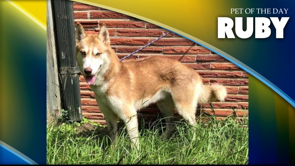 Ruby2