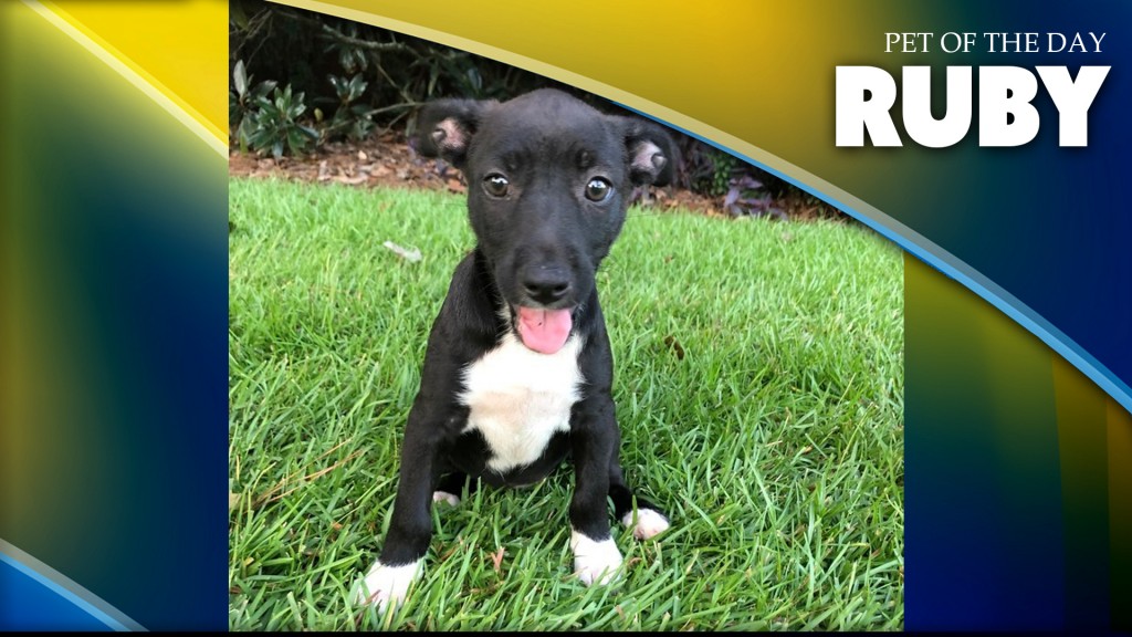 Ruby