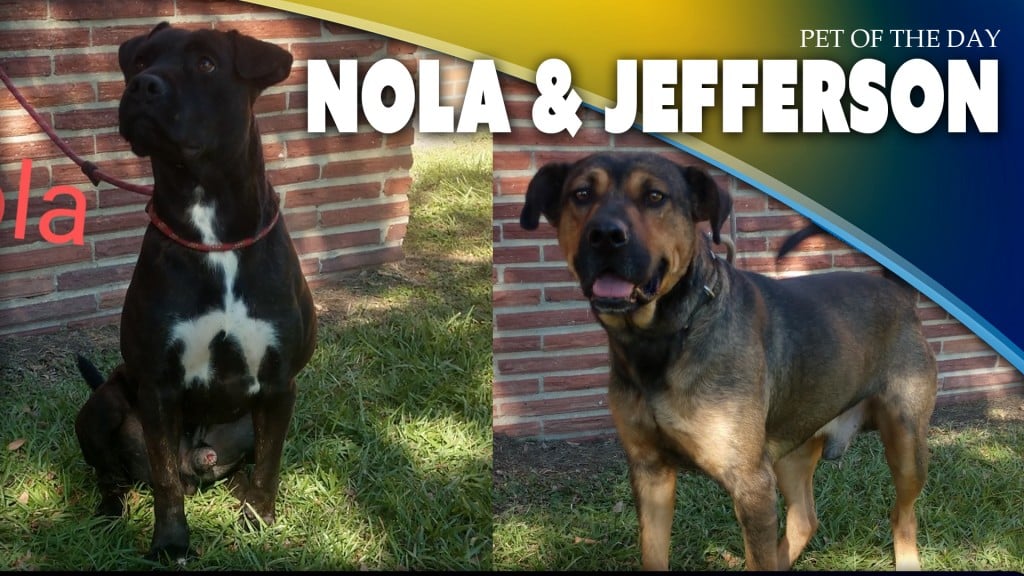 Nola And Jefferson