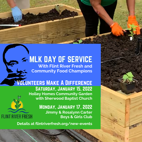 Frf 2022 Mlk Dos Volunteer Service Projects