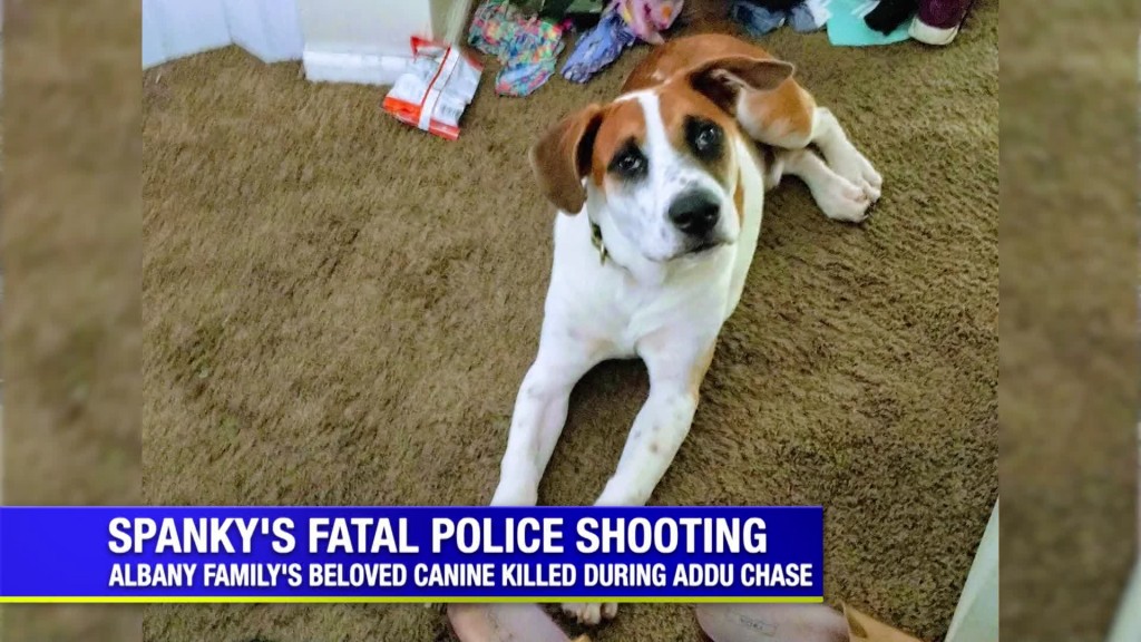 Addu Chase Results In Death Of Beloved Family Dog