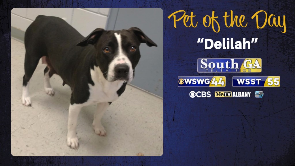 Delilah