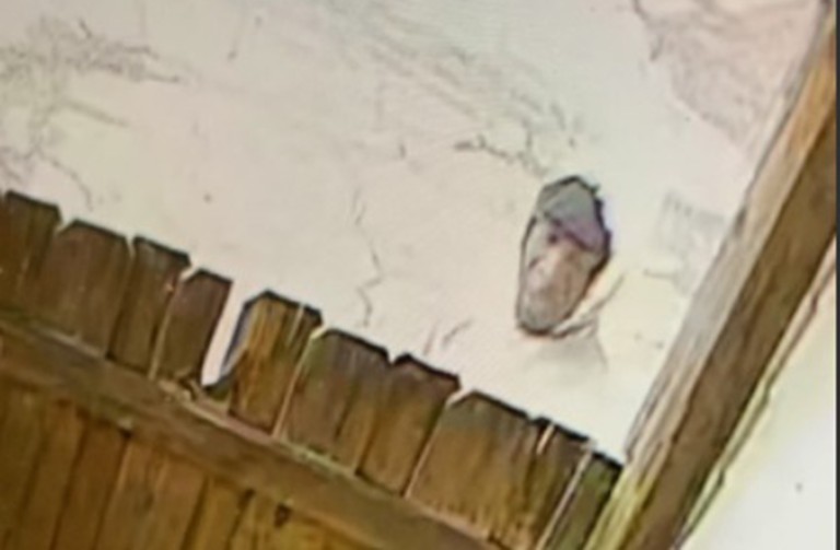 Osteria Burglary Suspect Pic 2