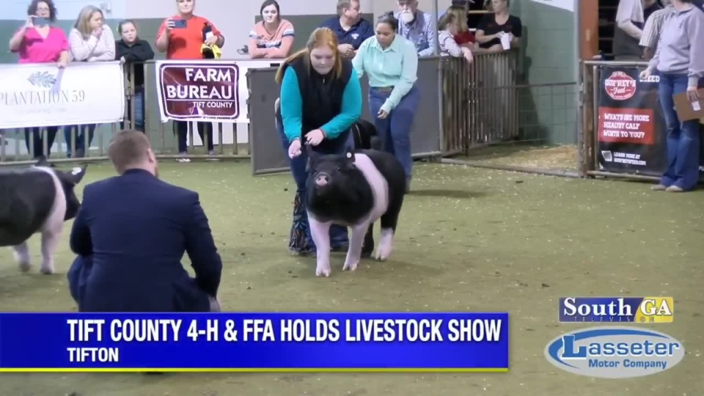 Tift County Kids Compete In Annual Fall Livestock Show