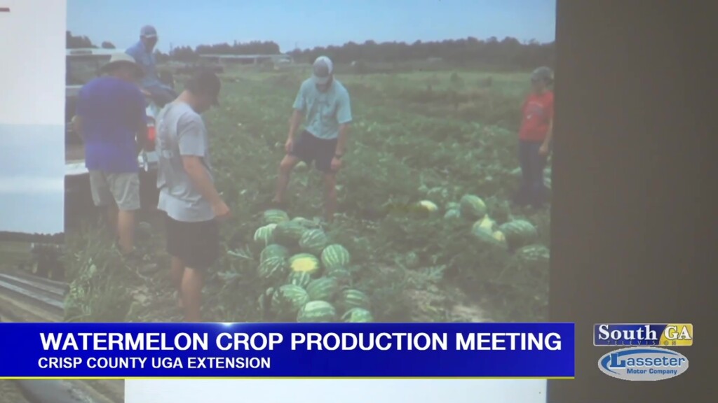 Crisp Co Uga Watermelon Meeting Frame At 0m16s