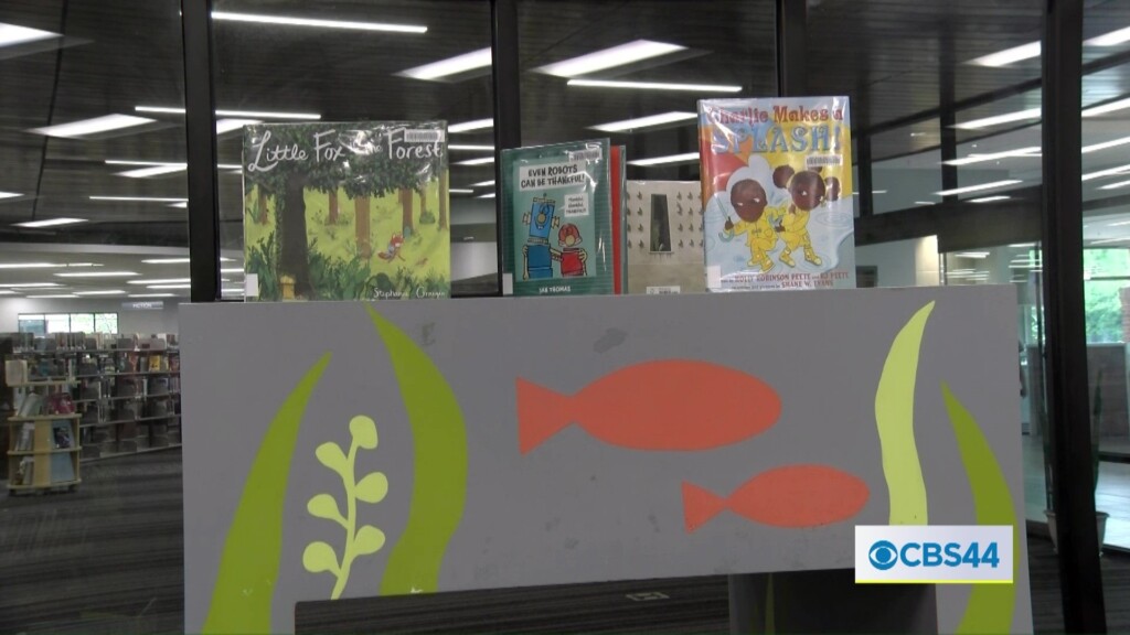 The Importance Of Libraries