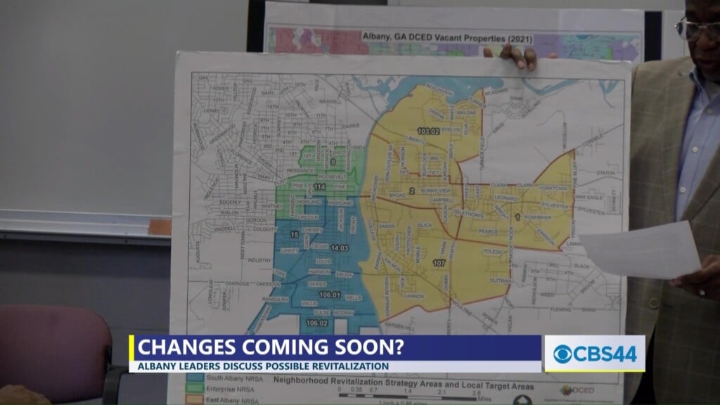 Albany Leaders Discuss Possible Revitalization