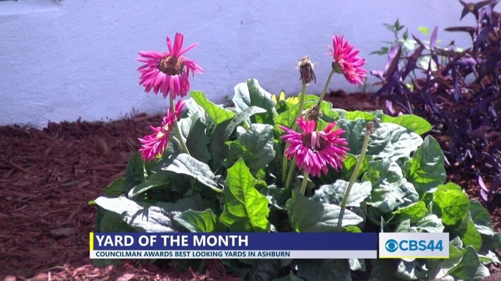 Ashburn Councilman Smith Awards 'yard Of The Month'
