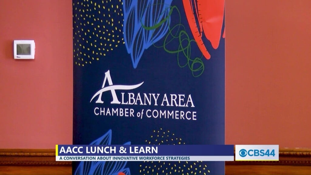 Albany Area Chamber Of Commerce & One Digital Host Lunch & Learn Event