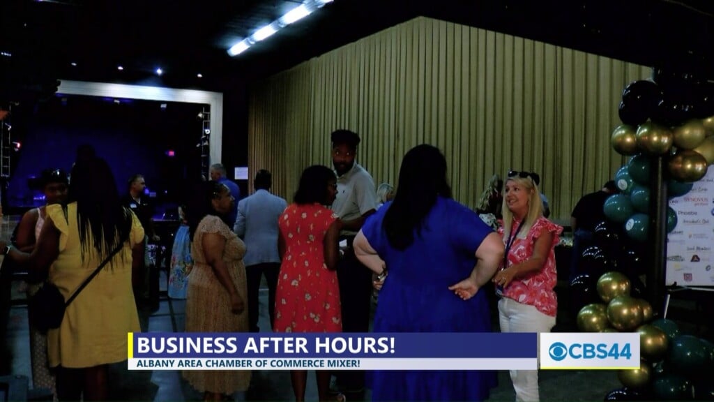 Albany Area Chamber Of Commerce Holds Mixer