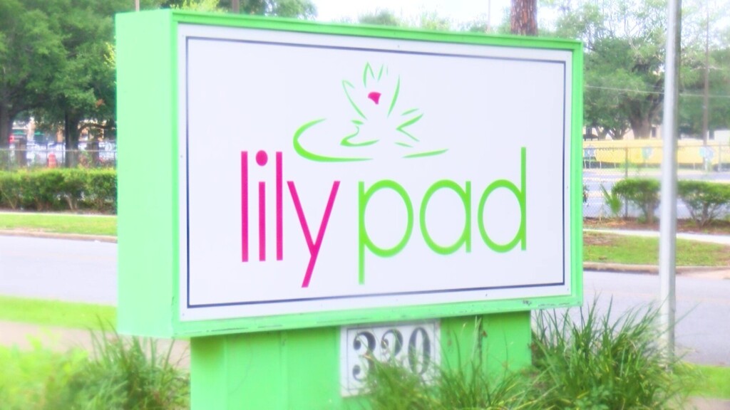Lily Pad Sane Center Is Dedicated To Serving South Georgia Victims Of Abuse And Their Families