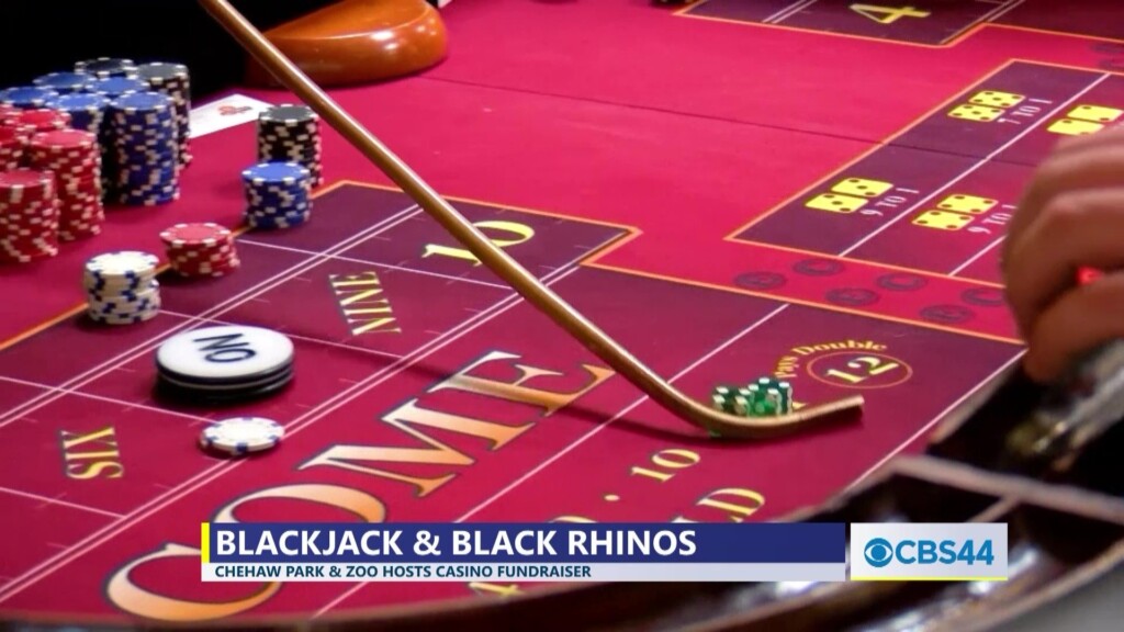 Chehaw Park & Zoo Hosts Black Jack & Black Rhinos Casino Night