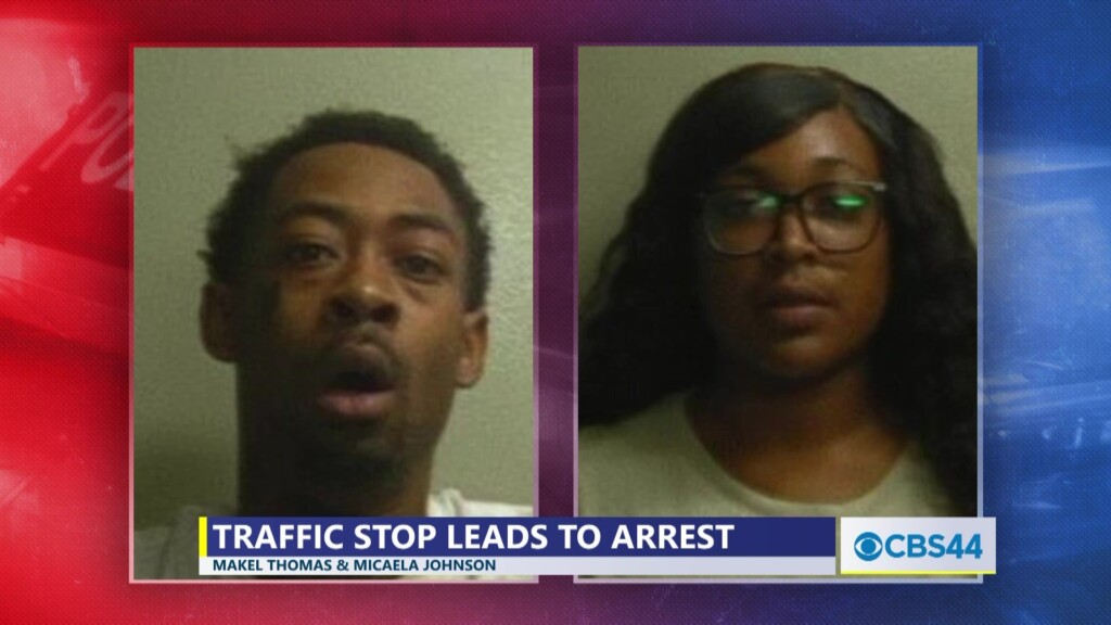 Two Arrested After Attempted Fleeing Following Traffic Stop In Crisp Co.