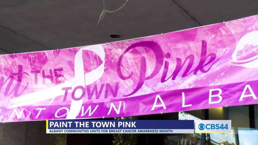 Albany Communities Unite For Breast Cancer Awareness Month In “paint The Town Pink” Event