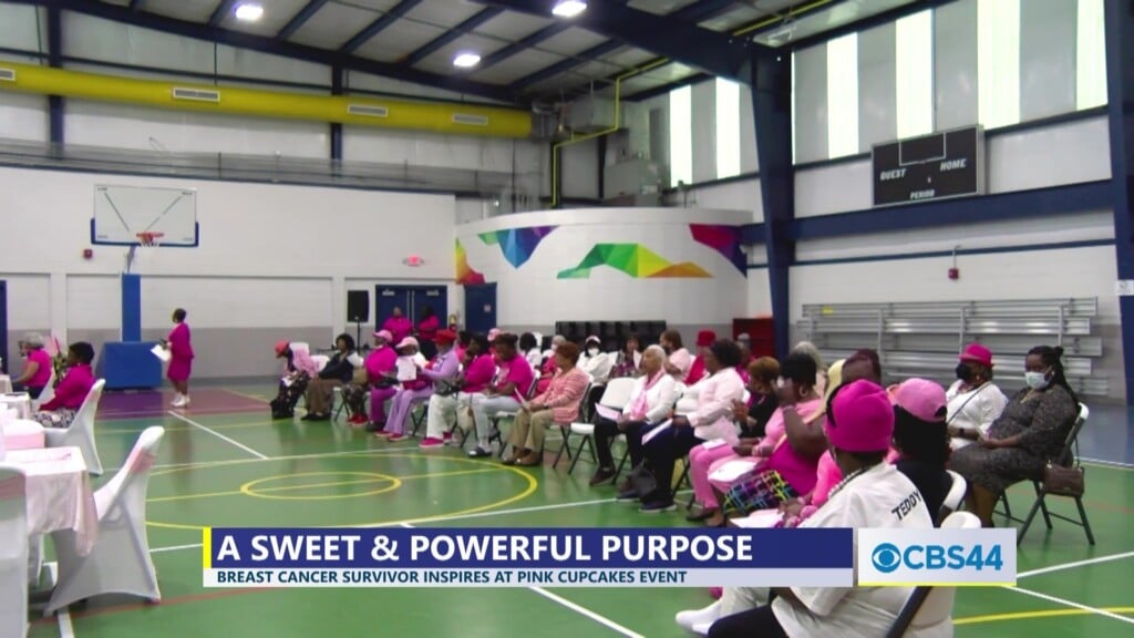A Sweet & Powerful Purpose; Breast Cancer Survivor Inspires Many At Albany Recreation And Parks’ ‘pink Cupcakes And Breast Cancer Awareness Event