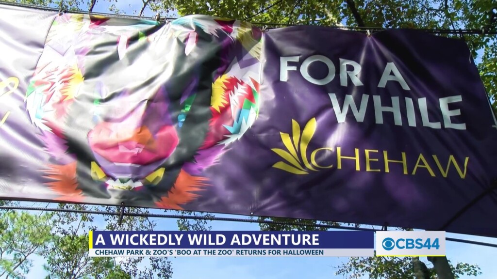 Chehaw Park & Zoo's 'boo At The Zoo' Returns This Weekend For Halloween
