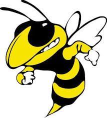 Cookcountyhornets