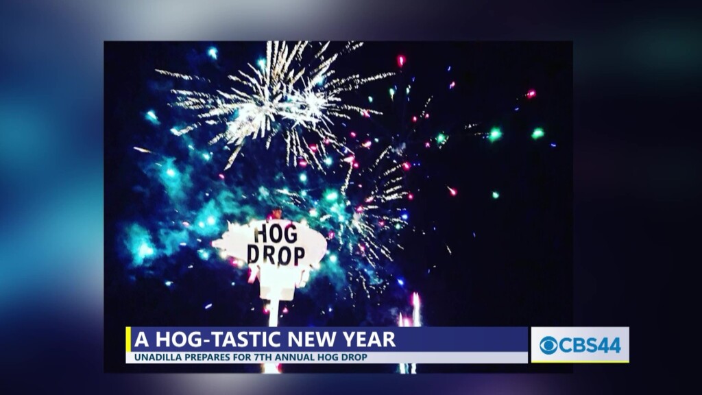 City Of Unadilla Plans 7th Annual New Year's Eve 'hog Drop'