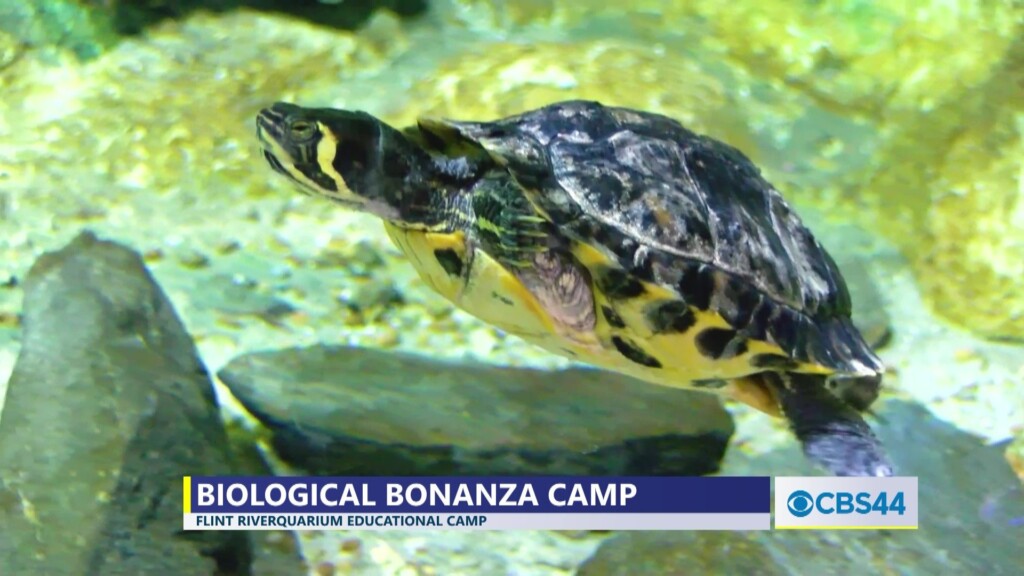 Flint Riverquarium’s Biological Bonanza Camp