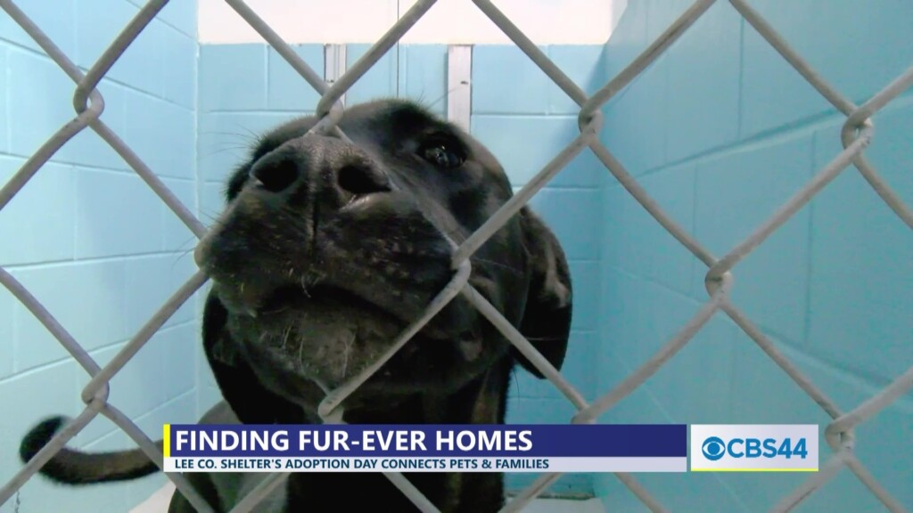 Lee County Animal Shelter Hosts Special Pet Adoption Event