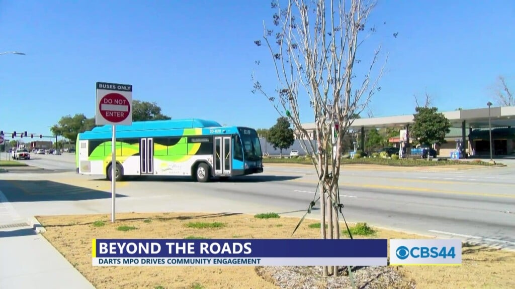 New Online Survey Gives Albany Community A Platform To Express Views On Local Transportation