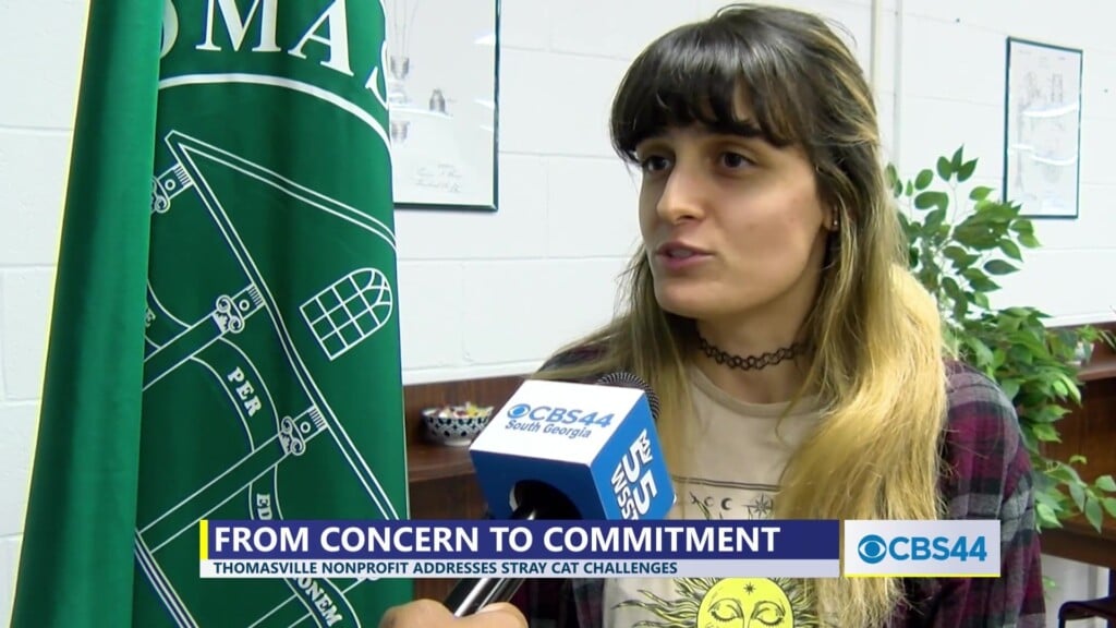 Thomas University Student Launches Nonprofit Feline Welfare Program