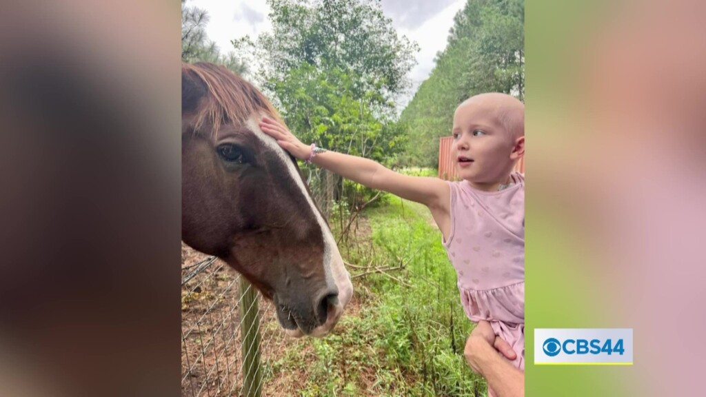 Savor The Flavor To Host For The Love Of Revel Music Fest Fundraiser For Girl With Leukemia