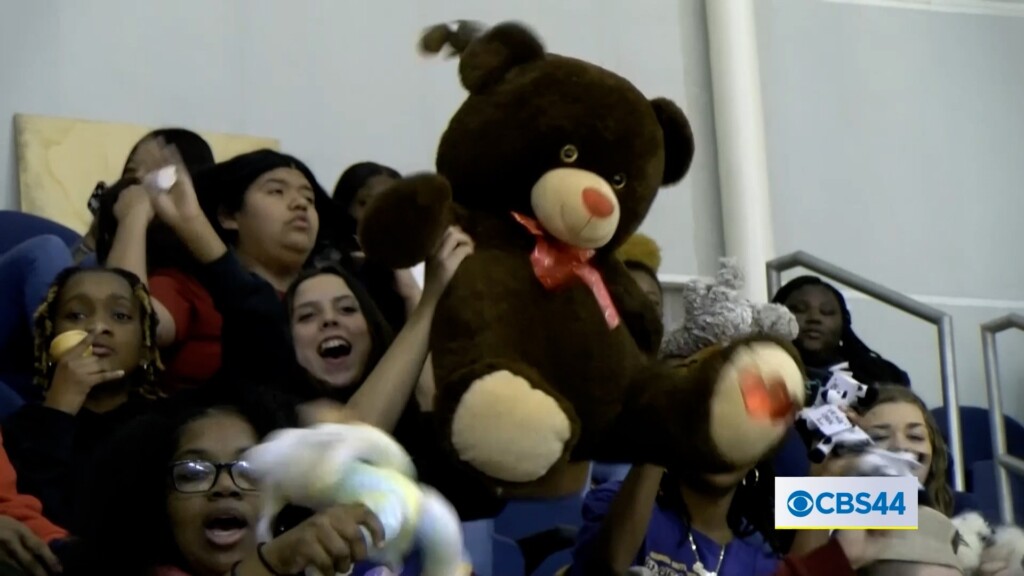 Teddy Toss 3