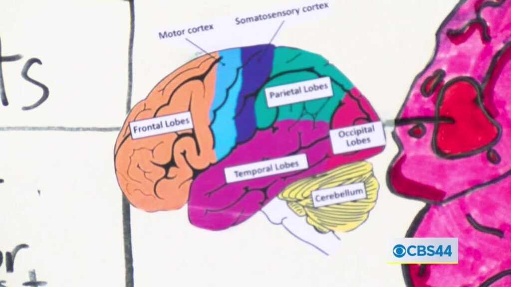 Crisp Co. Elementary School's Brain Awareness Project