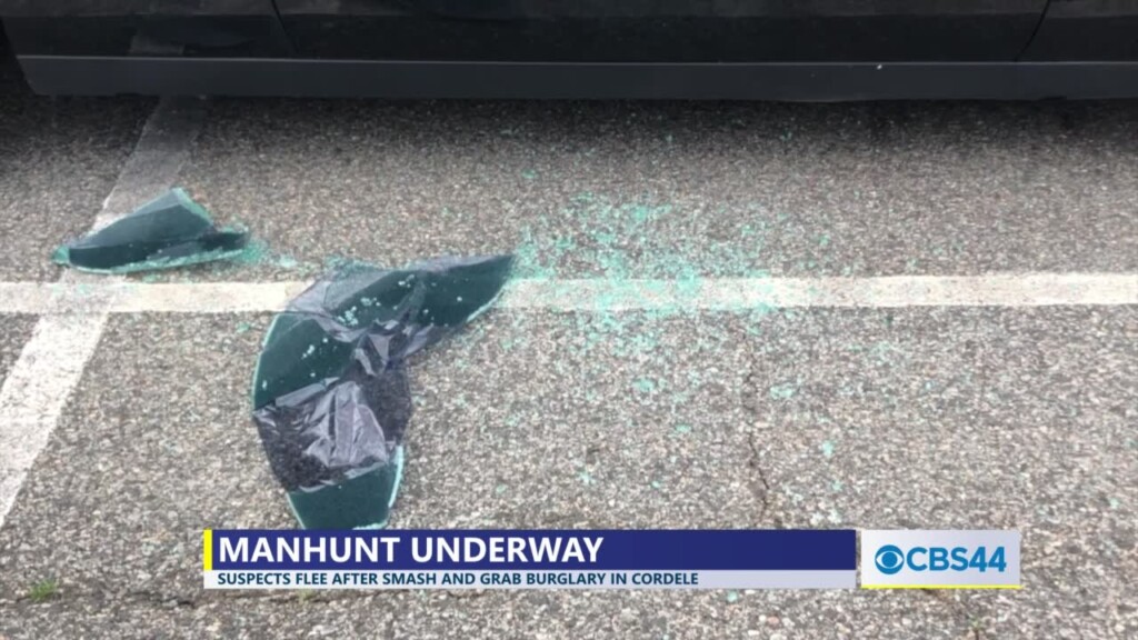 4 Suspects In Custody After High Speed Chase Ends In Warwick Following Smash And Grab Car Burglaries In Cordele