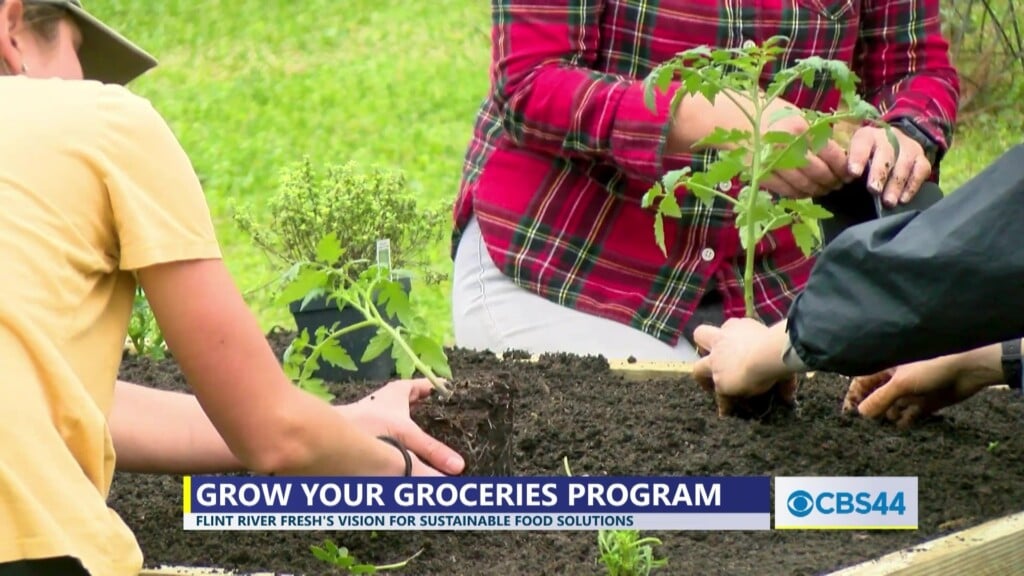 Flint River Fresh And Healthy Sumter Offers Affordable Fresh Produce In Grow Your Groceries Program