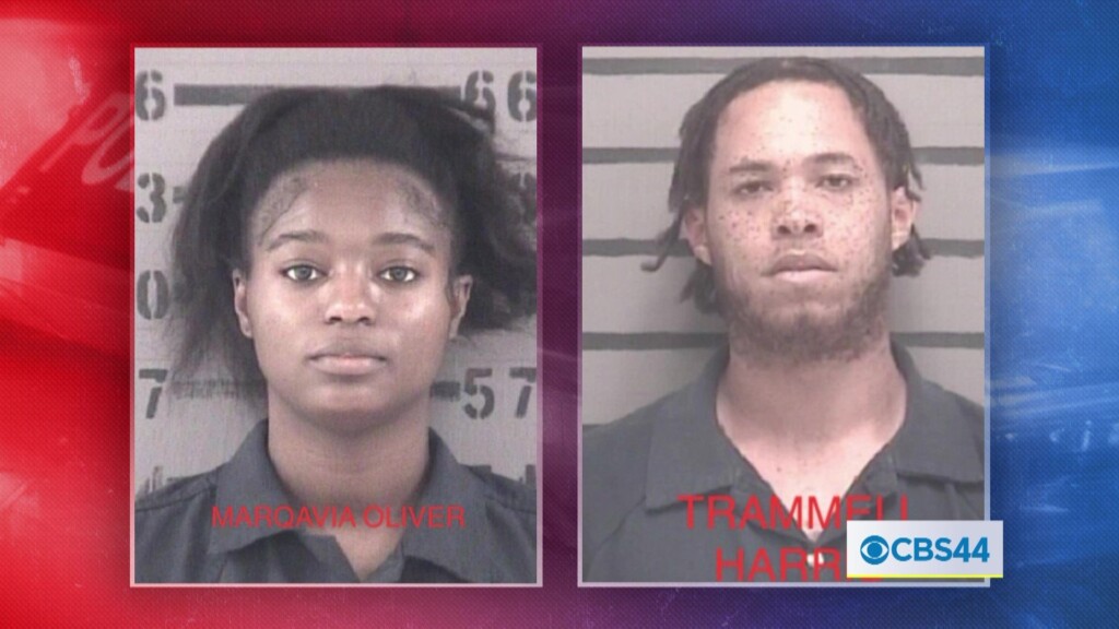 Arrest Mail Theft Investigation Vo