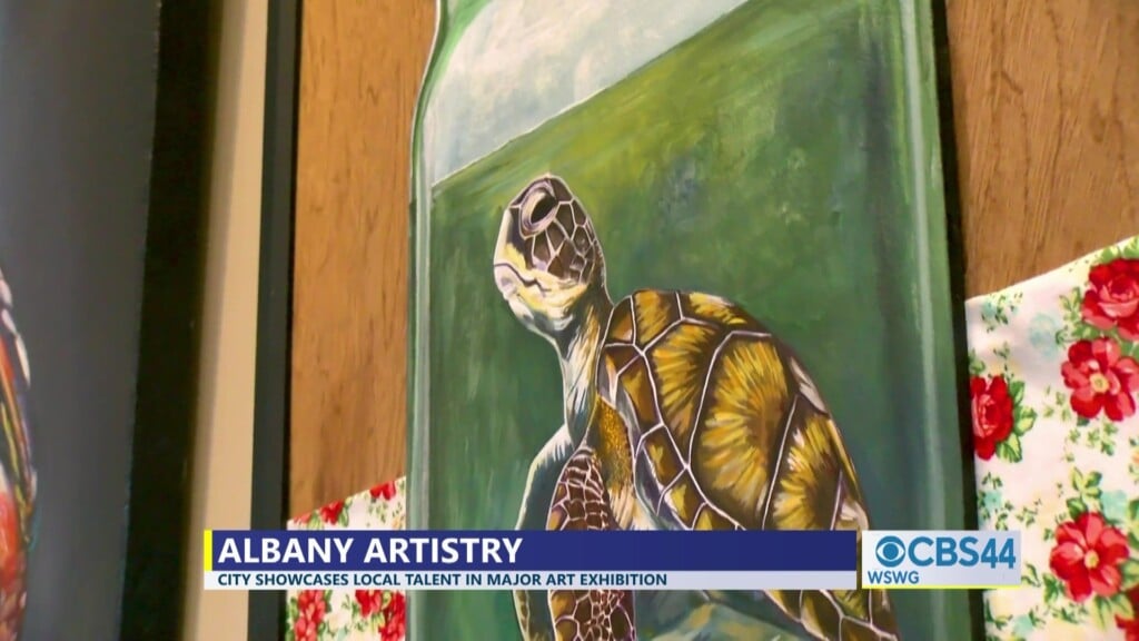 De'andra Albany Area Arts Council Art Exhibition Pkg 06 07 24