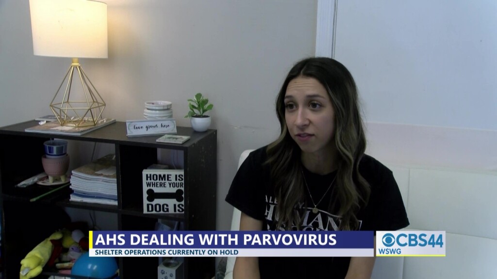 Brian Albany Humane Society Parvovirus Pkg 06 07 24