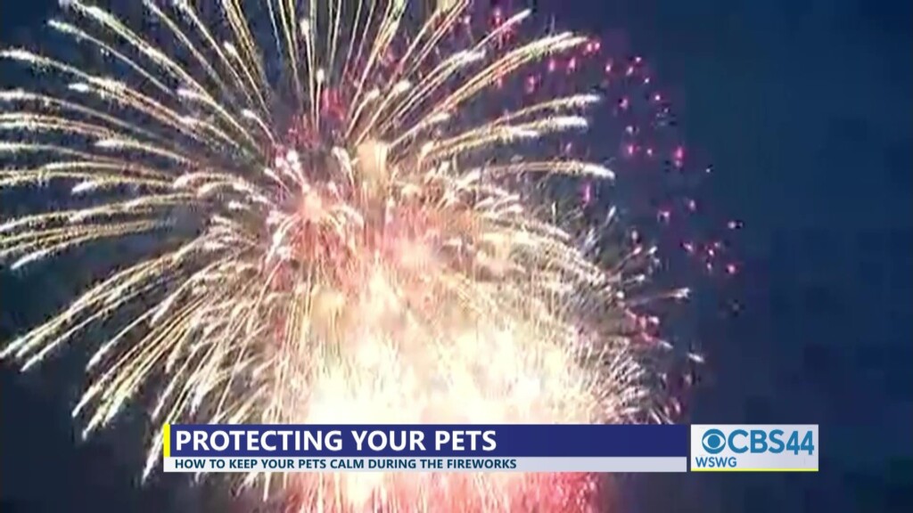 Brian Humane Society 4th Of July Pet Safety Tips Pkg 07 04 24