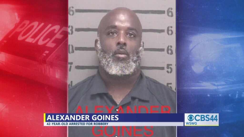 Albany Weekend Arrests Goines 070224