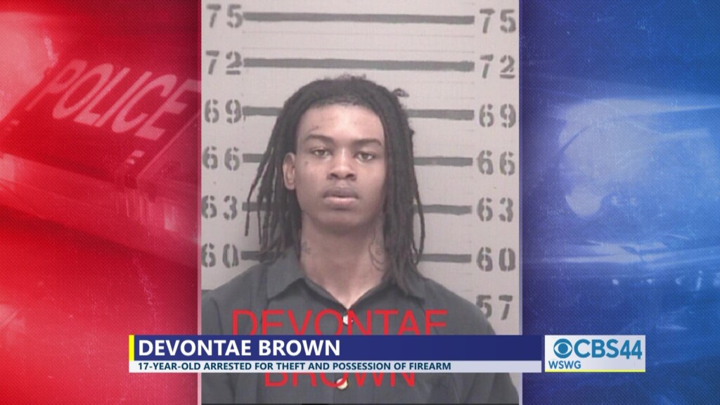 Albany Weekend Arrests Brown 070224