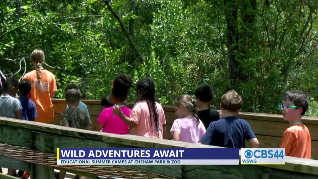 De'andra Artesian Alliance Summer Camps Intro Pkg