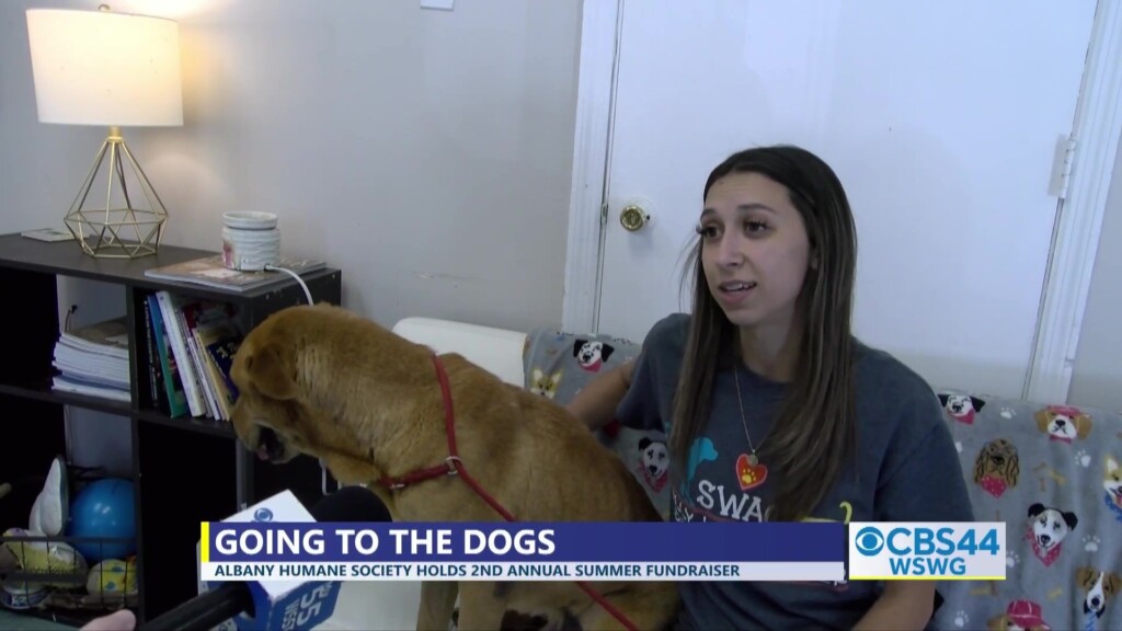 Brian Humane Society Dog Days Of Summer Vosot