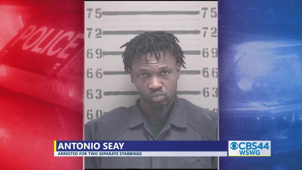 Albany Stabbing Incidents Vo