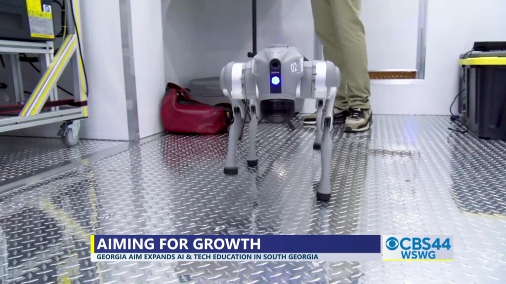 Deandra Grorgia Aim Project Colquitt Co High