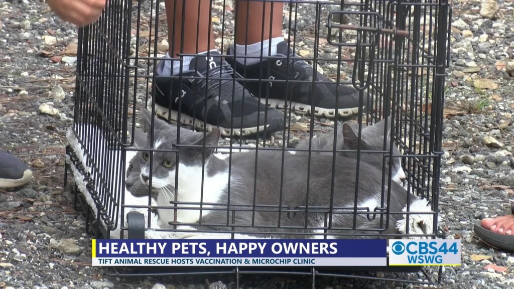 Tift Animal Rescue Vax Microchip Clinic