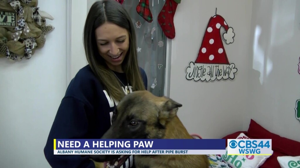 Brian Albany Humane Society Pipe Burst Donations