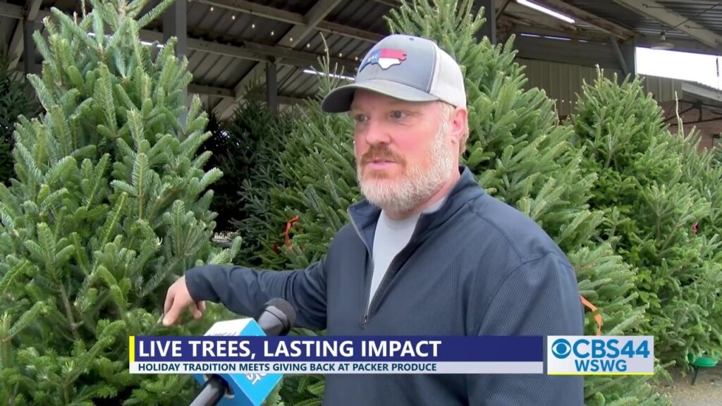 Deandra Packers Produce Fraser Fir Christmas Trees Pkg