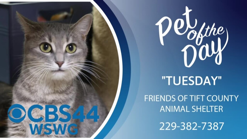 Potd Tuesday 01.28.25