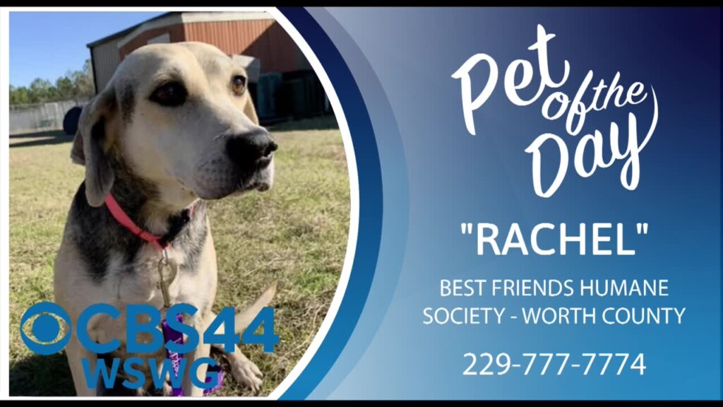 Potd 1 23 2025 Rachel