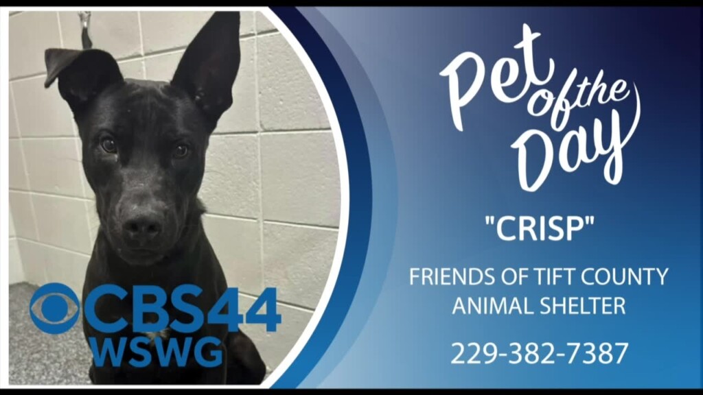 Pet Of The Day Mon Jan 27 2025