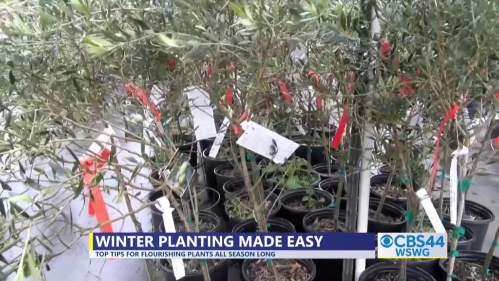 Gabe Winter Plants Tips