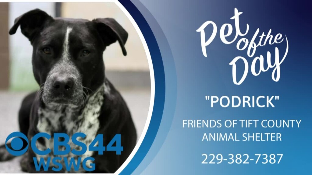 1 20 2025 Potd Podrick.mp4